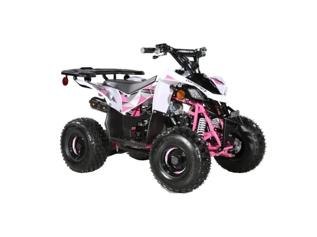 110cc ATV - 3050B2