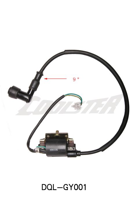 Ignition Coil DY100 (IC-4)(DQL-GY001)