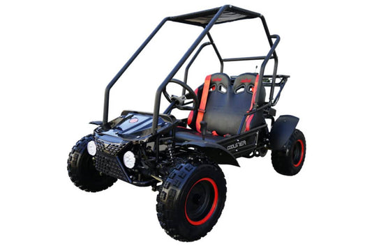 125CC Fully Automatic Go Kart - 6125B