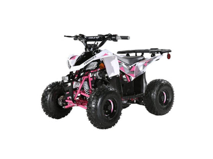 110cc ATV - 3050B2