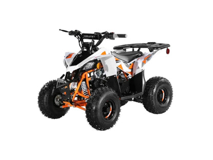 110cc ATV - 3050B2