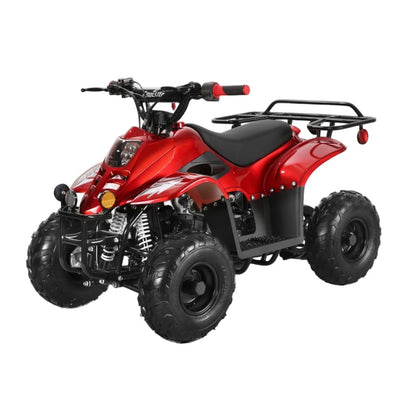 110cc ATV - 3050C