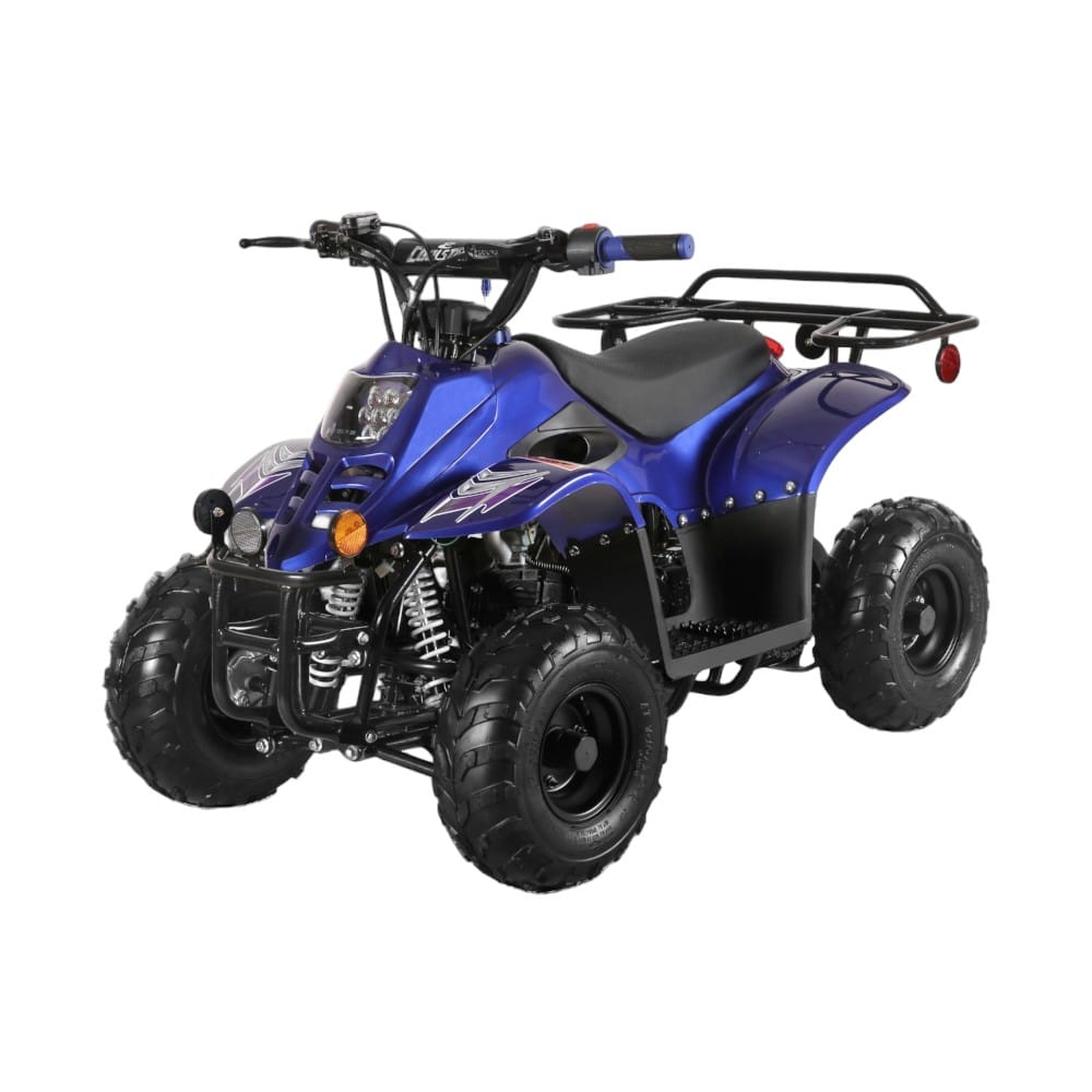 110cc ATV - 3050C