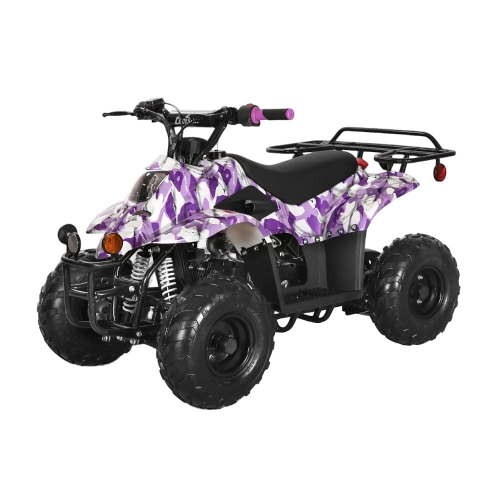 110cc ATV - 3050C