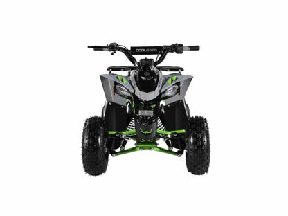 110cc ATV - 3050B2