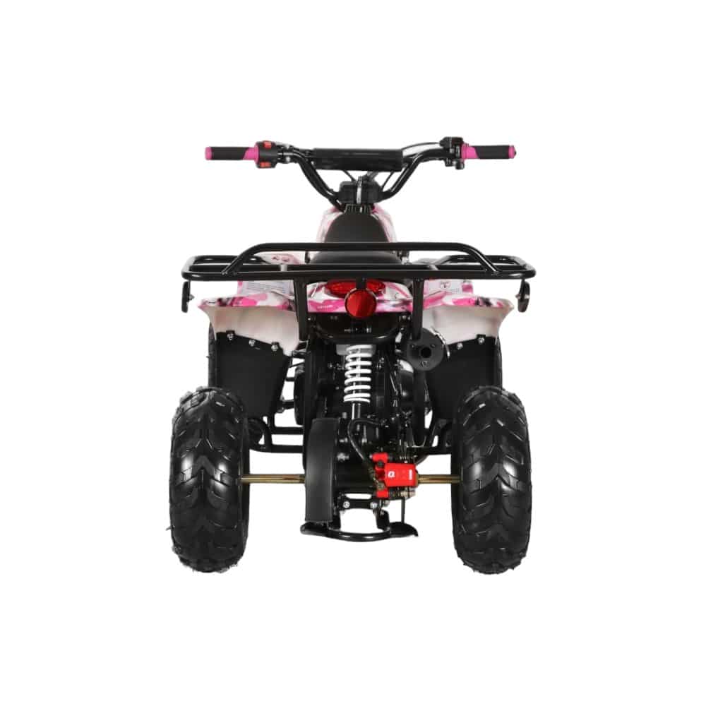 110cc ATV - 3050C