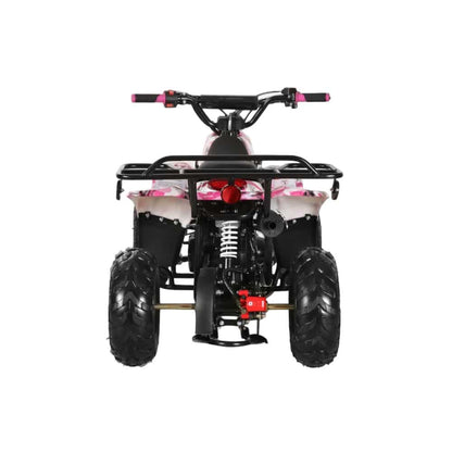 110cc ATV - 3050C