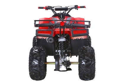 125cc ATV - 3125UF - Tested and Fully Assembled