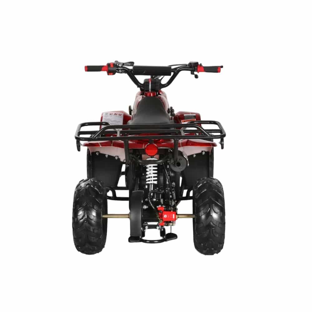 110cc ATV - 3050C
