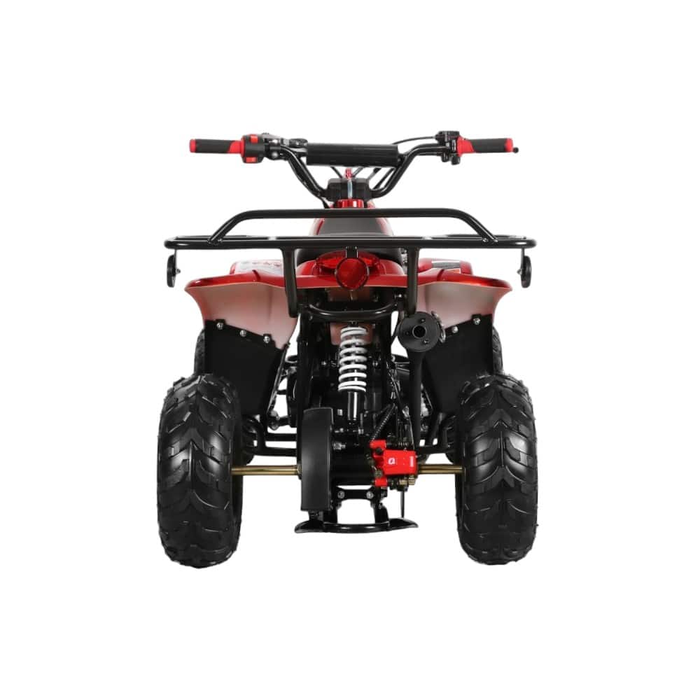 110cc ATV - 3050C