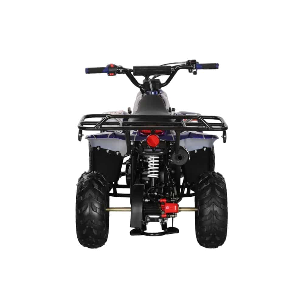 110cc ATV - 3050C