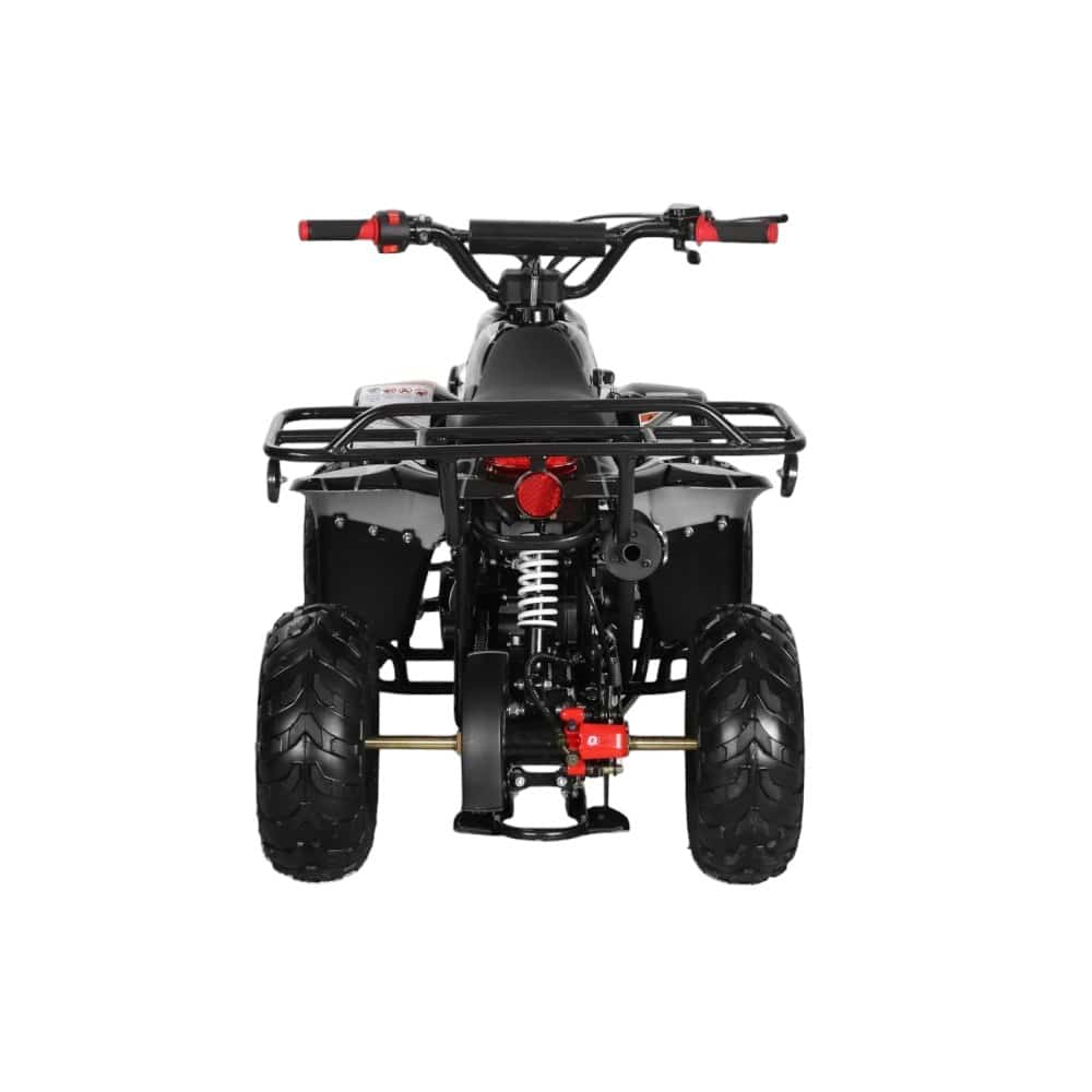 110cc ATV - 3050C