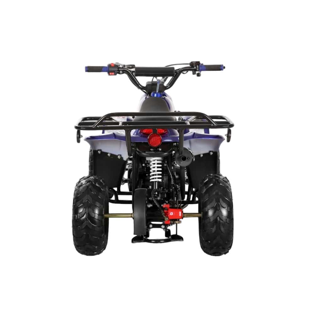 110cc ATV - 3050C