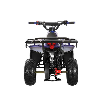 110cc ATV - 3050C
