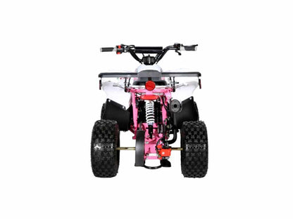 110cc ATV - 3050B2