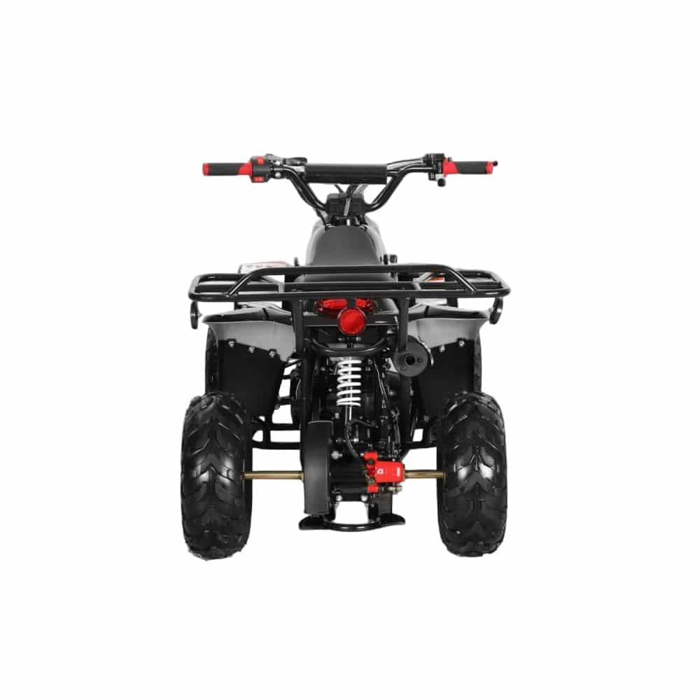 110cc ATV - 3050C