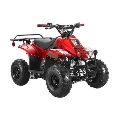 110cc ATV - 3050C