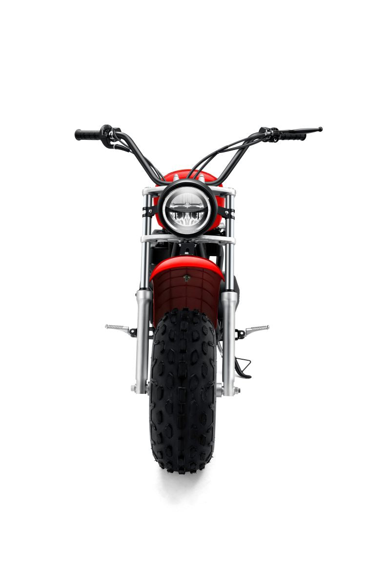 Off Road Motorcycle 196cc Mini Bike Gas Power Trail Bike Dirt Bike for Youths Adults Over Ages 15, EPA/CARB Approved